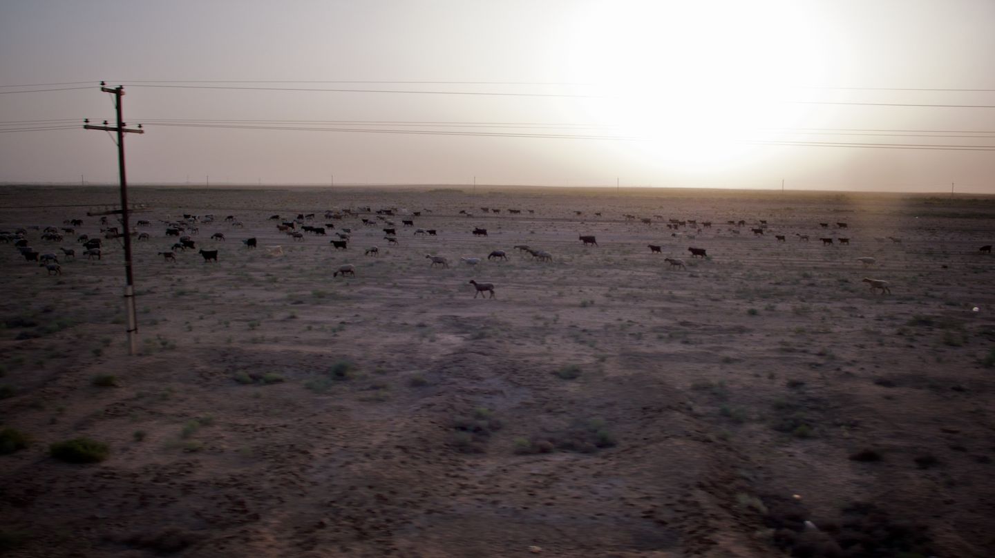 Central Asia Revisited