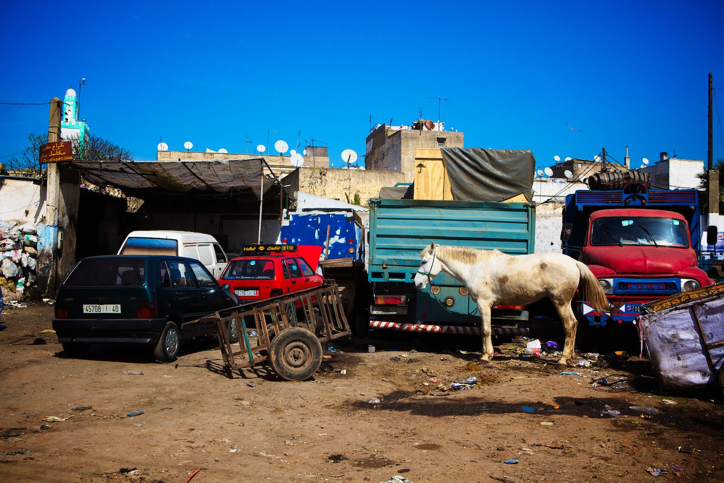 The Dakar Orphans