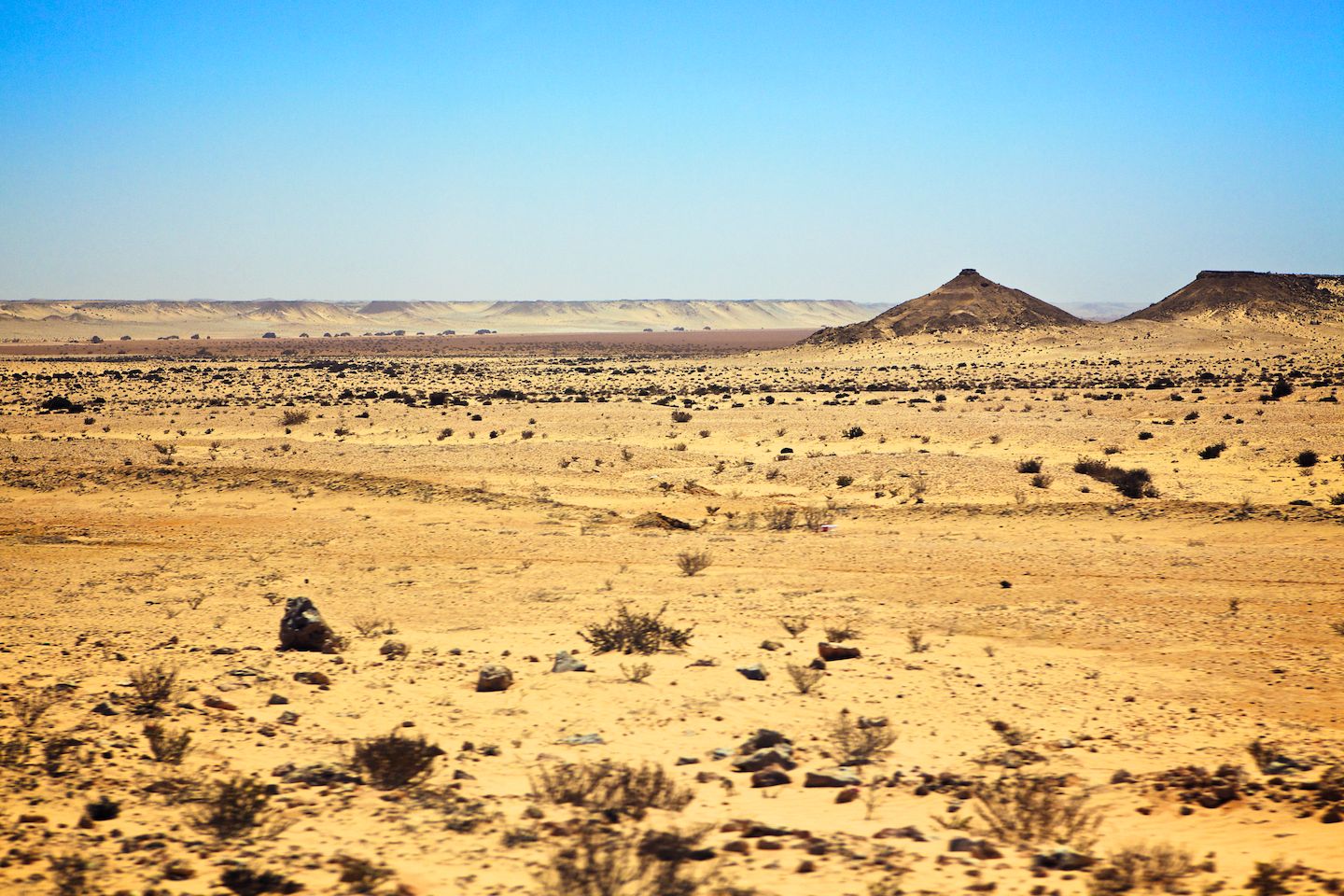 The Dakar Orphans