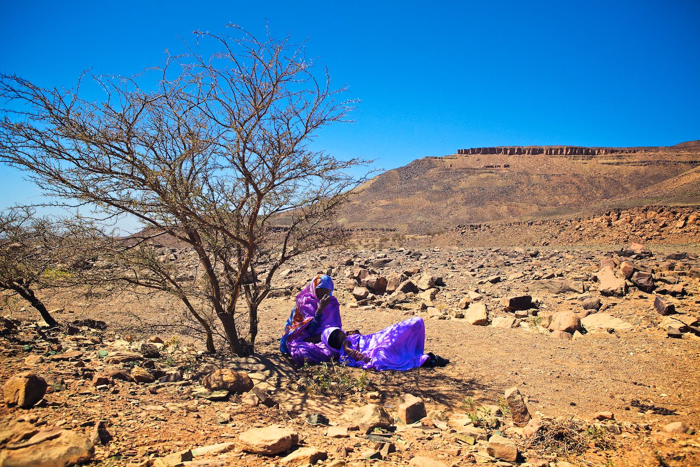 The Dakar Orphans
