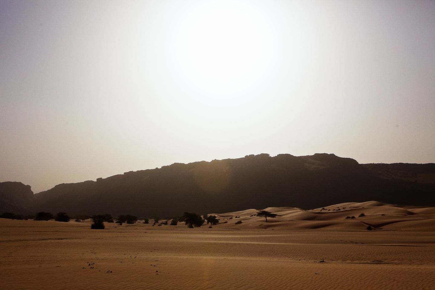 Force feeding in Mauritania