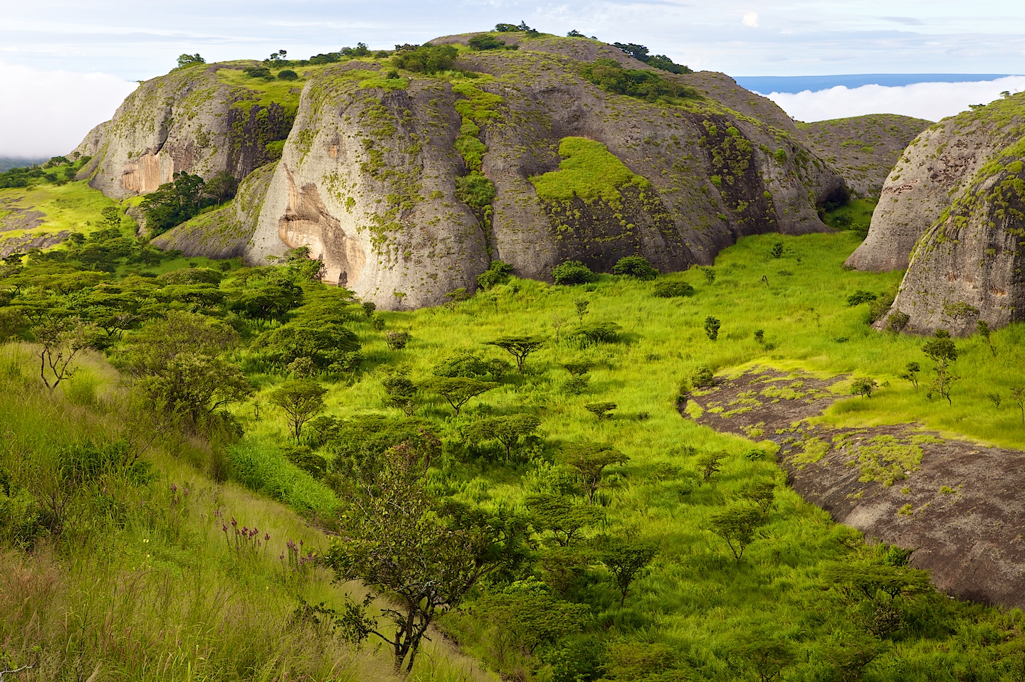 Discovering Angola