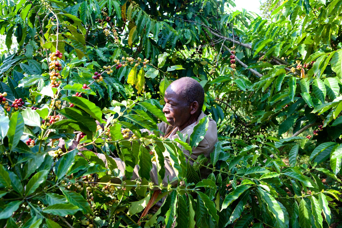 Uíge - Northern Angola