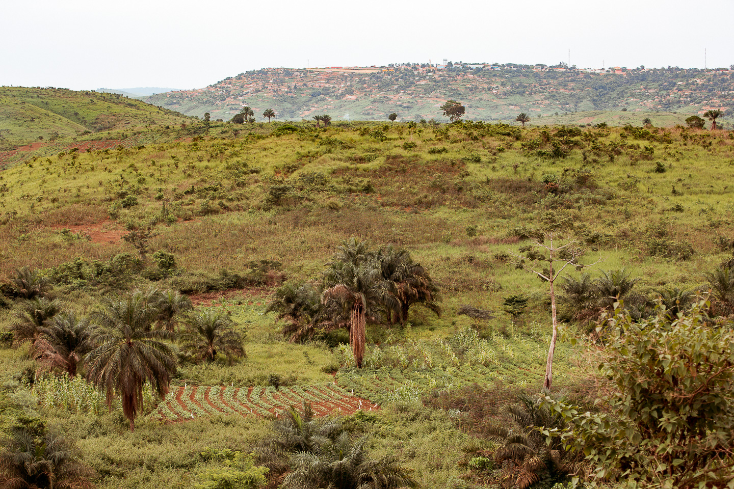 M'Banza Kongo - Capital of the Congo kingdom